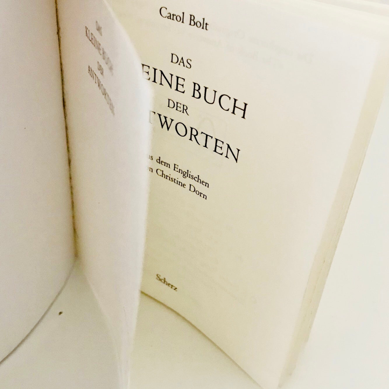 Das kleine Buch der Antworten // Carol Bolt