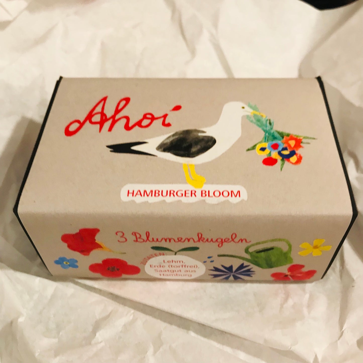 Blumensamenkugeln // AHOI