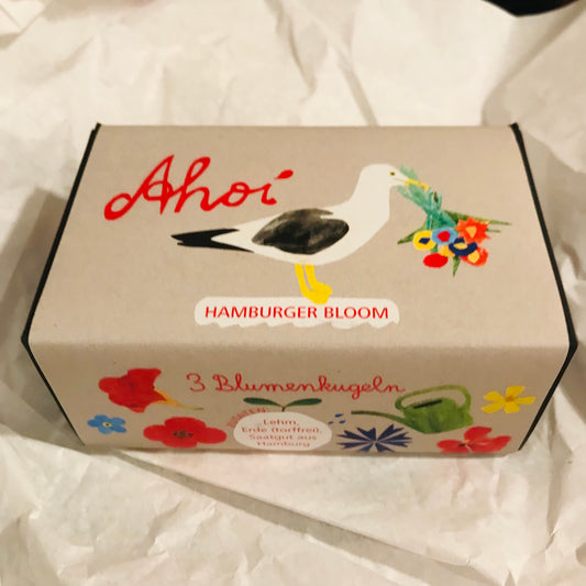 Blumensamenkugeln // AHOI