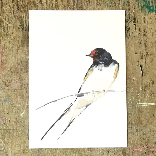 Schwalbe, Aquarell Postkarte// Catherina Türk