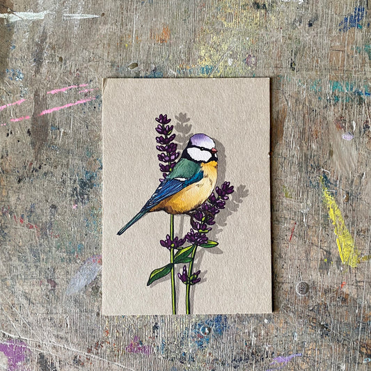 Postkarte illi // Blaumeise Lavendel