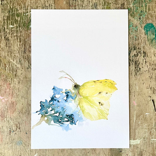 Zitronenfalter, Aquarell Postkarte// Catherina Türk