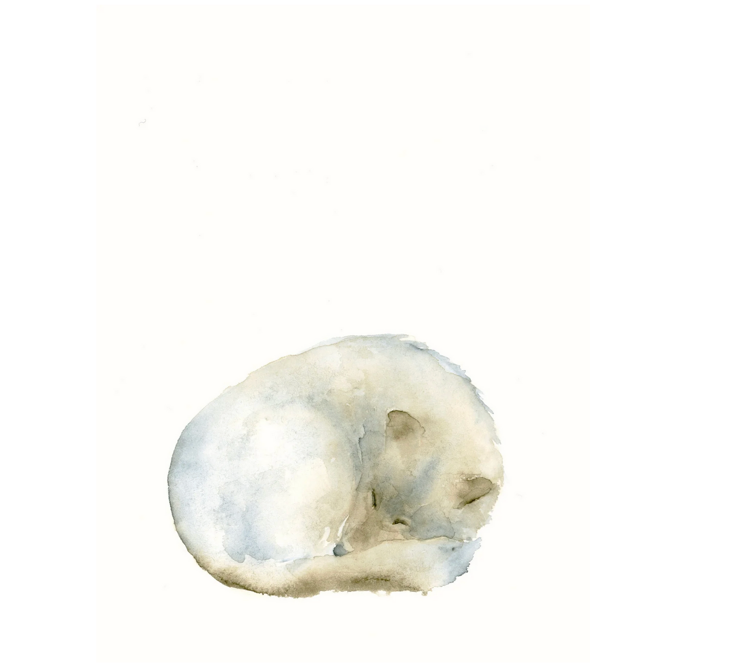 Wolf / Aquarell von Catherina Türk