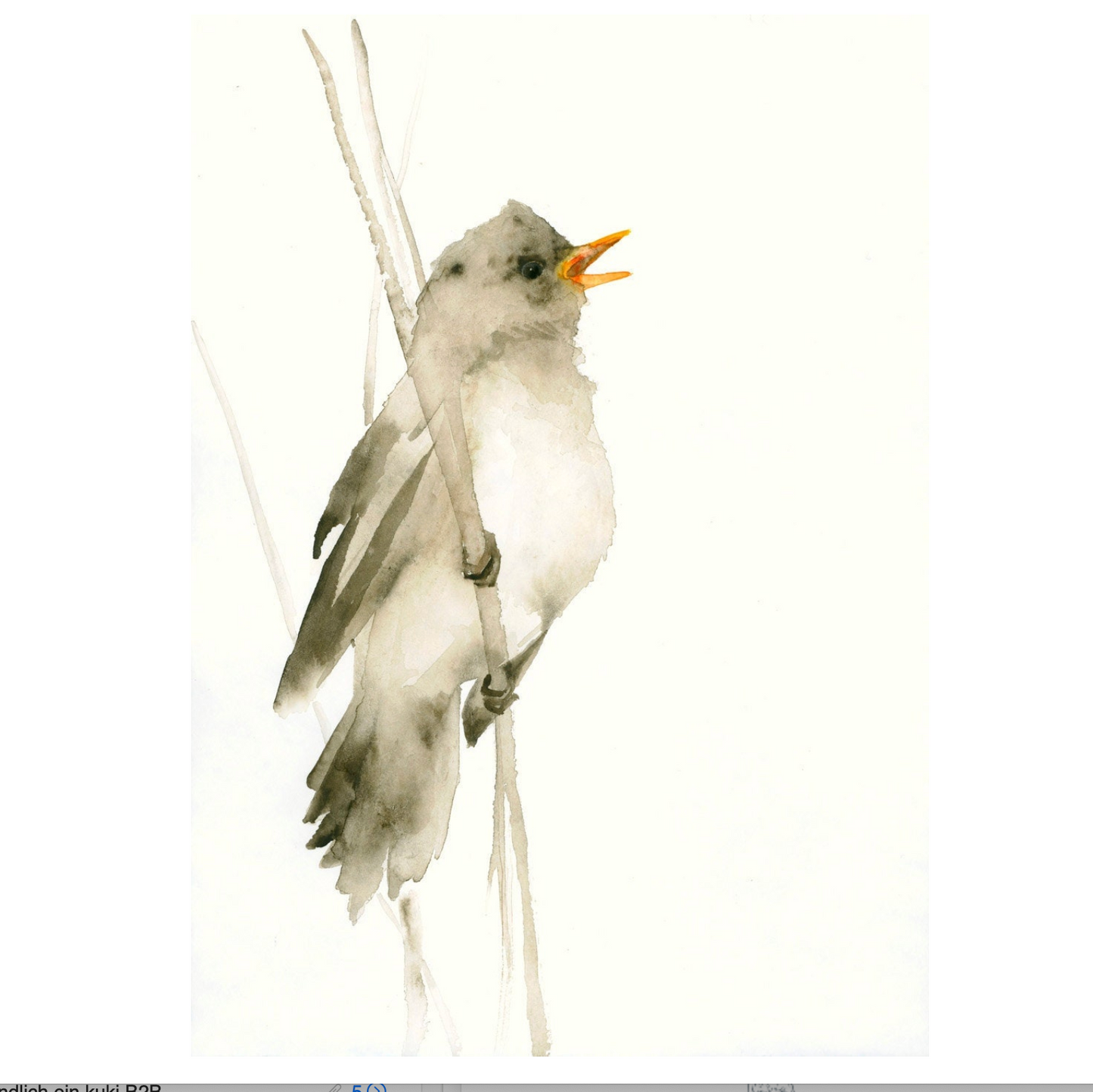 Schilfrohrsänger / Aquarell von Catherina Türk