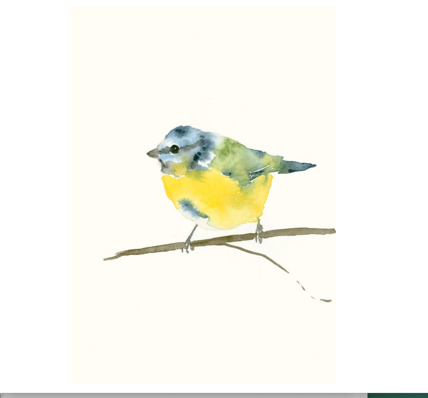 Blaumeise / Aquarell von Catherina Türk