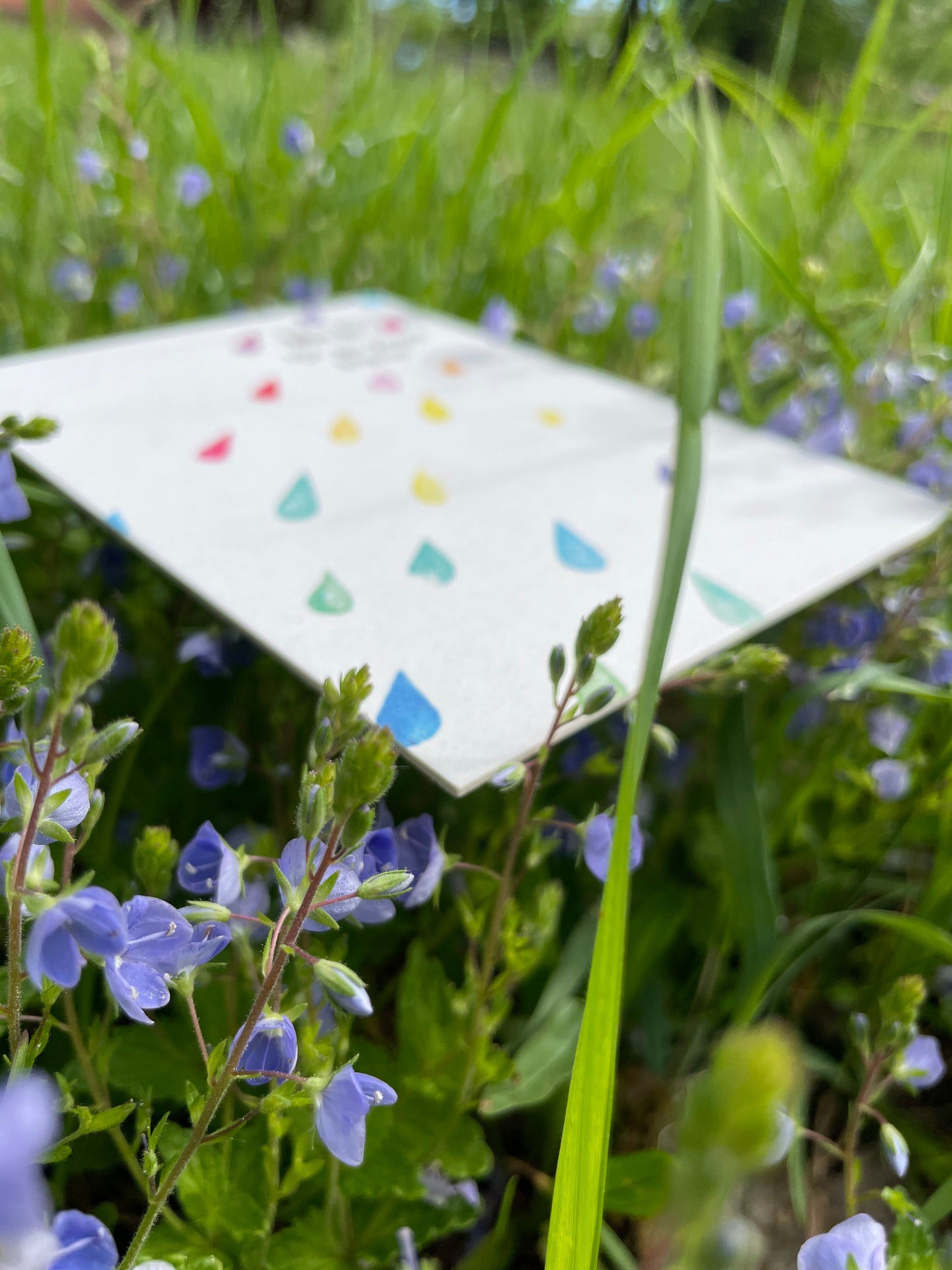 kuki Postkarte „Mit dir ist Regen bunter“