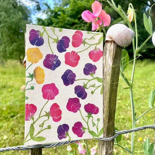 kuki Postkarte // "Sommerblumen Duftwicken"