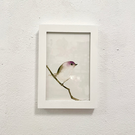 Vögelchen / Aquarell von Catherina Türk