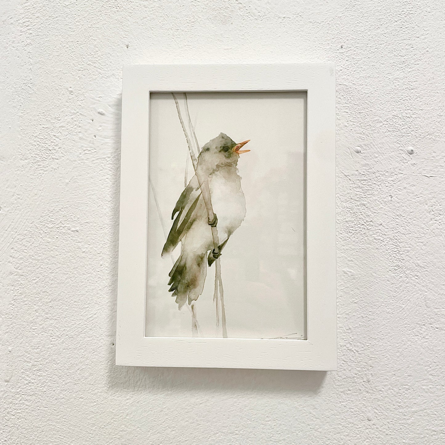 Schilfrohrsänger / Aquarell von Catherina Türk