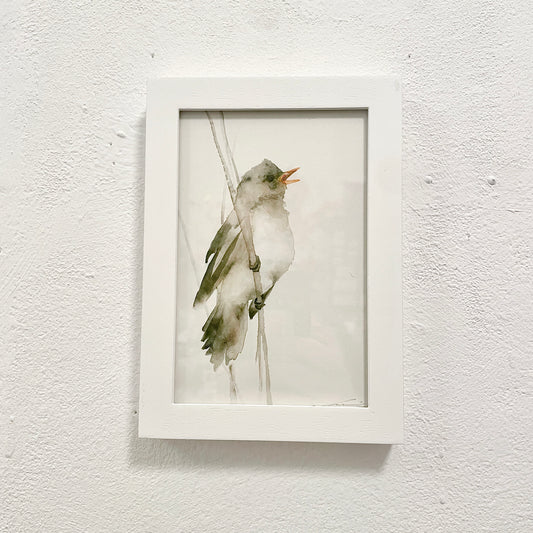 Schilfrohrsänger / Aquarell von Catherina Türk