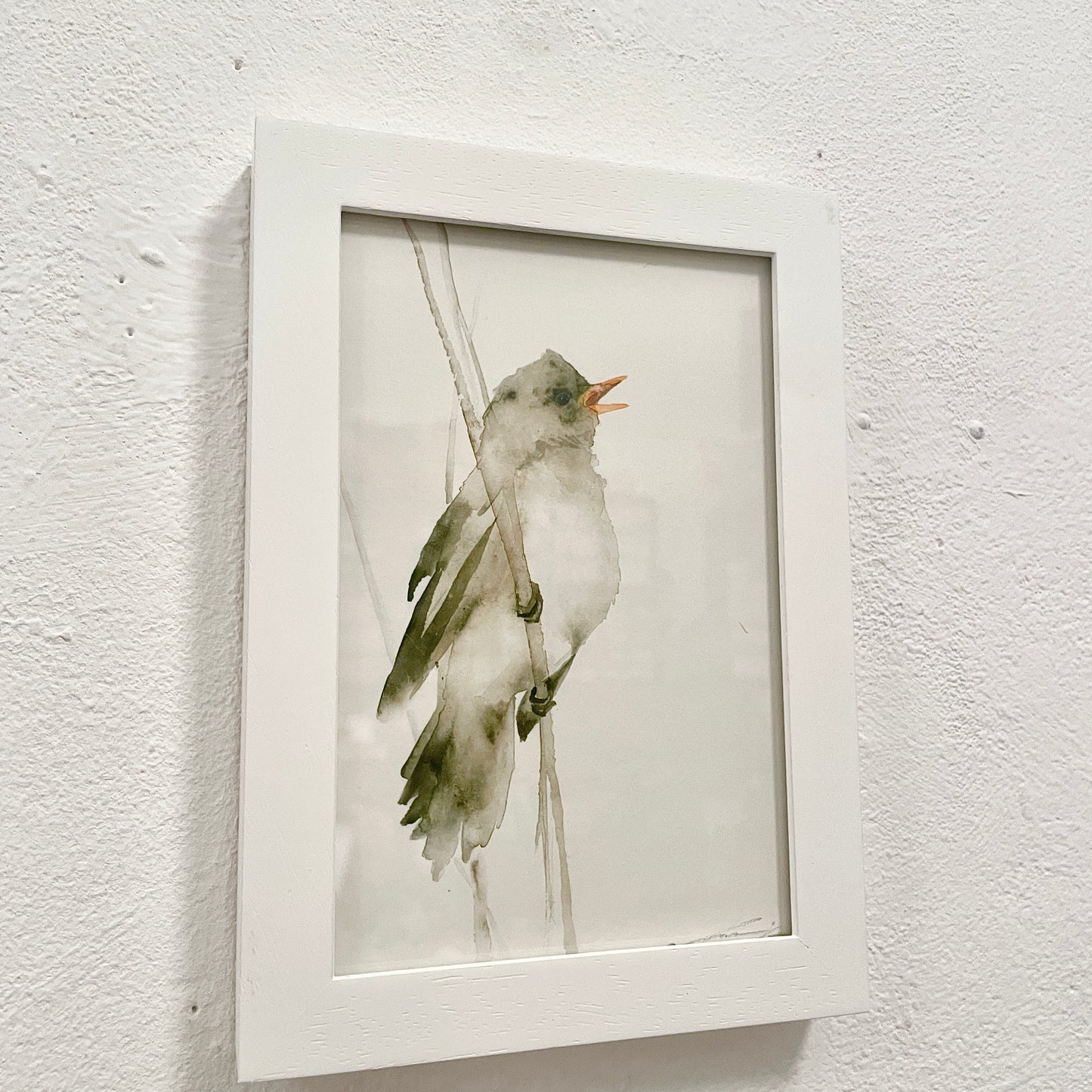 Schilfrohrsänger / Aquarell von Catherina Türk