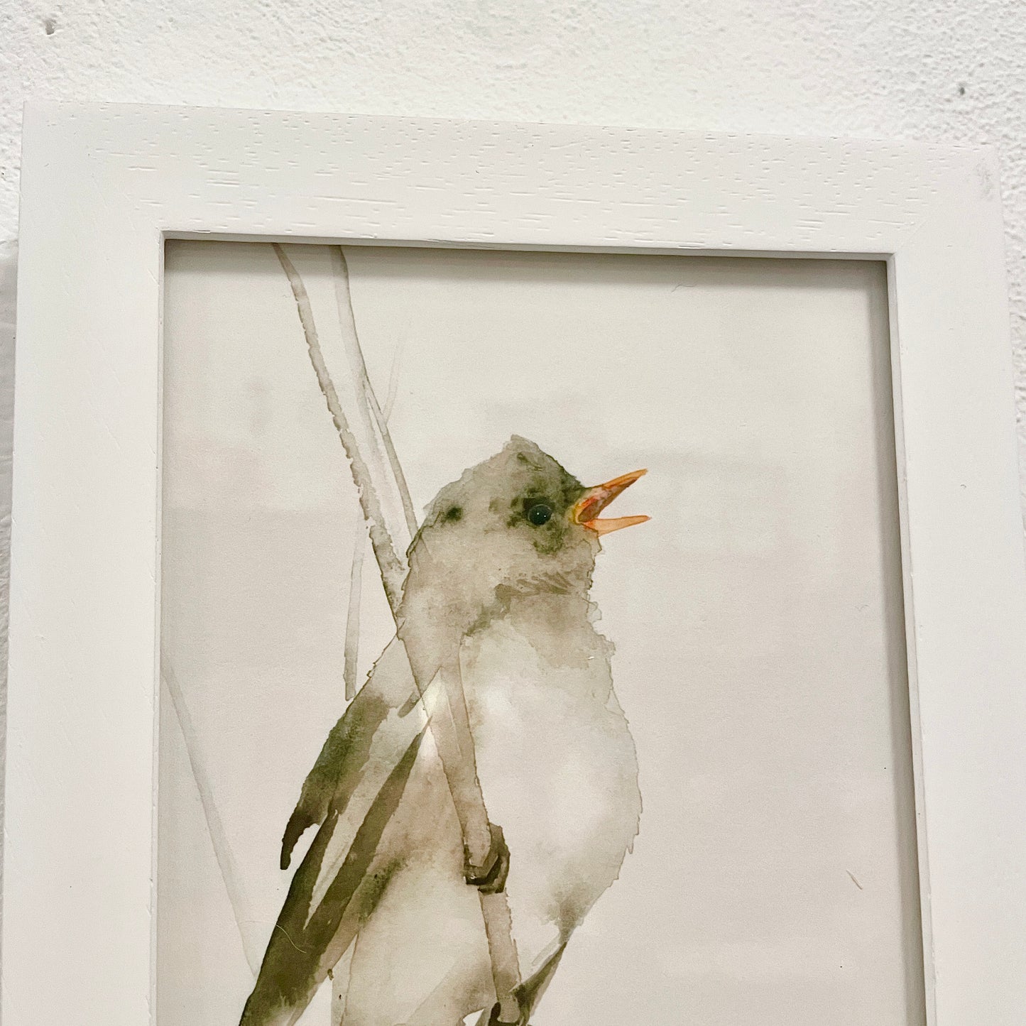 Schilfrohrsänger / Aquarell von Catherina Türk