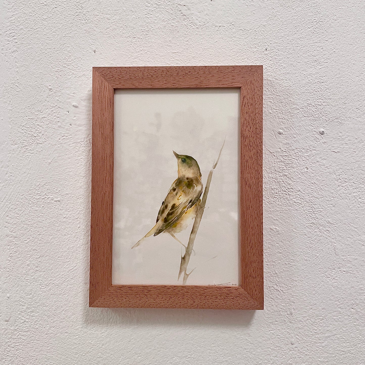 Vögelchen am Schilf / Aquarell von Catherina Türk