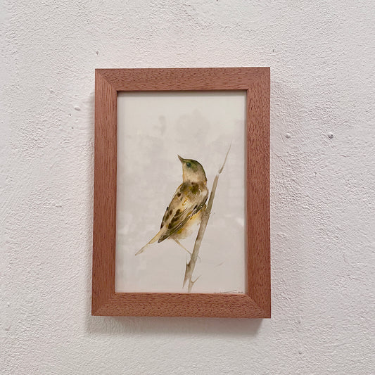 Vögelchen am Schilf / Aquarell von Catherina Türk