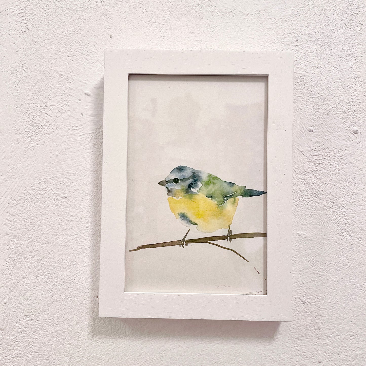 Blaumeise / Aquarell von Catherina Türk