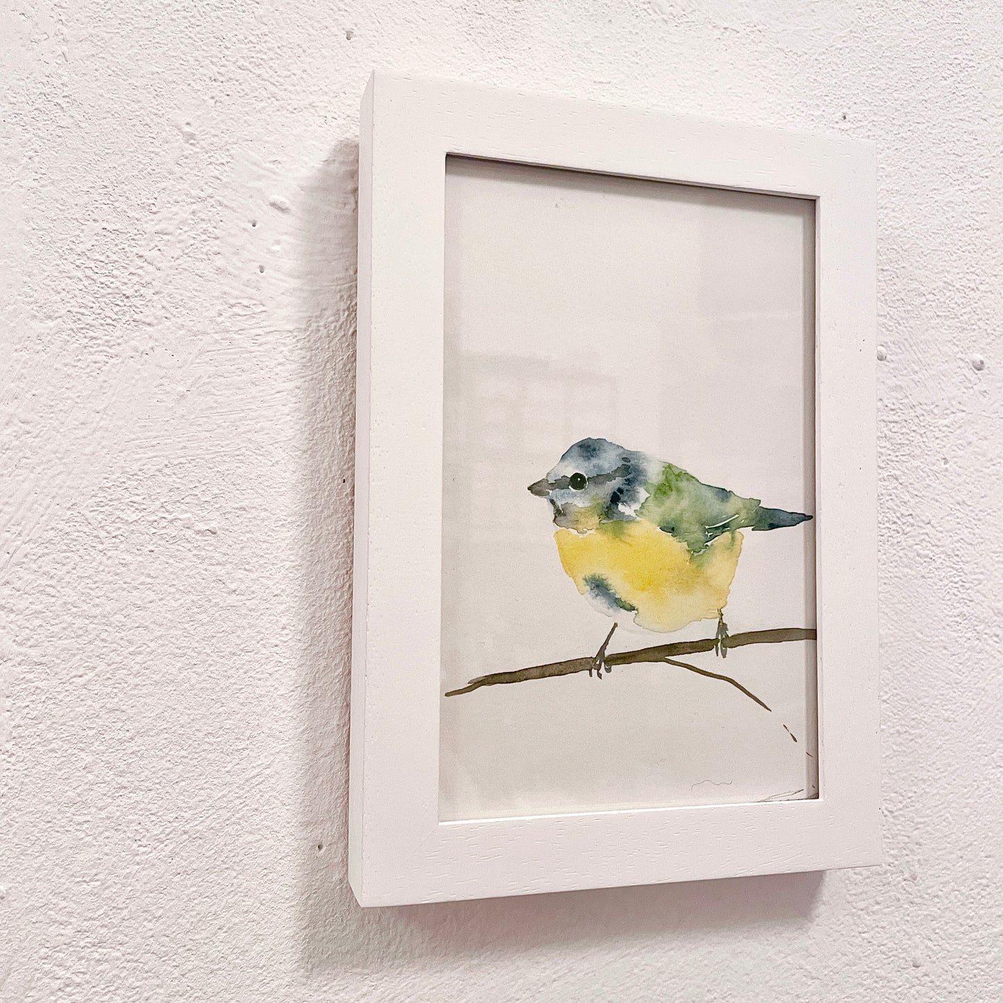 Blaumeise / Aquarell von Catherina Türk