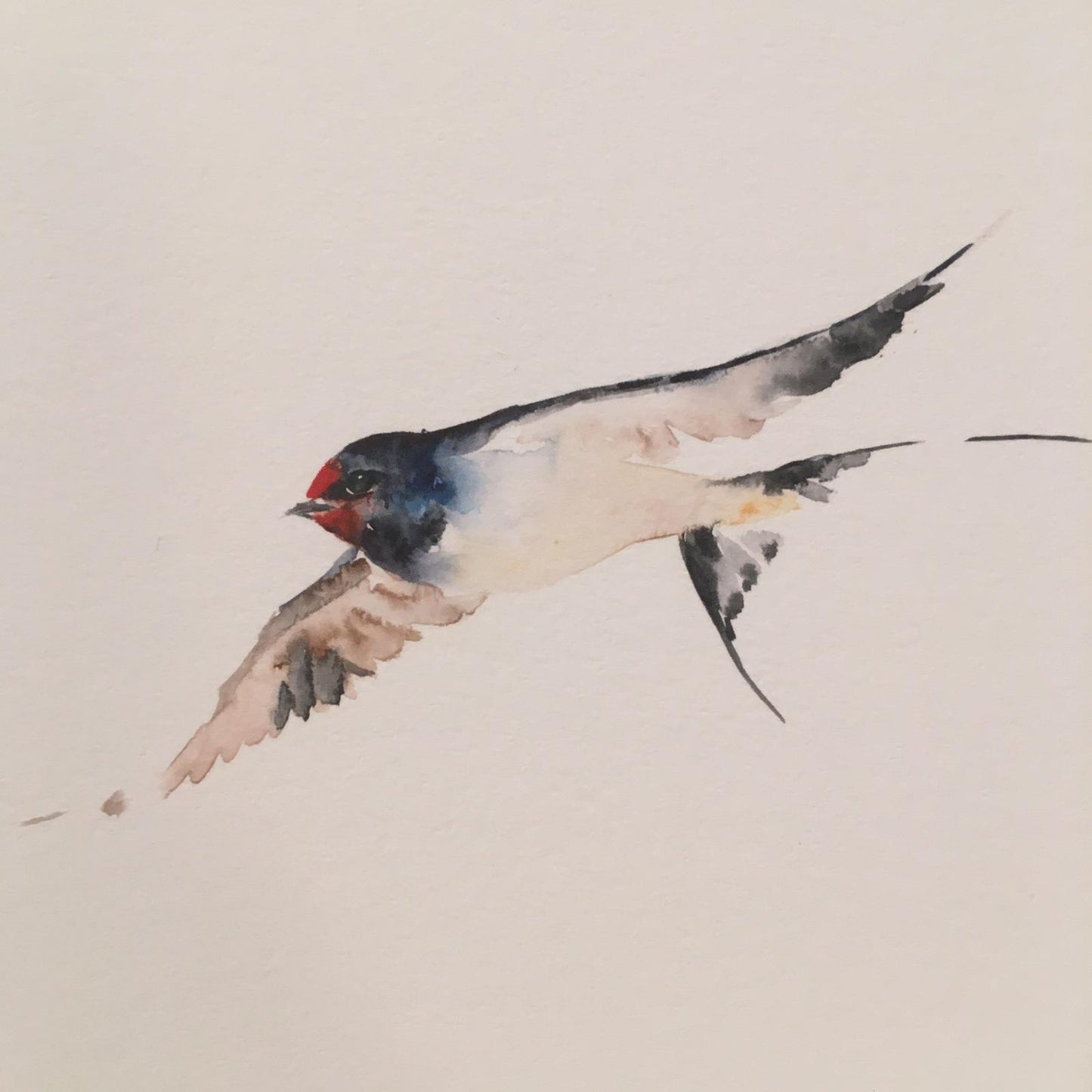 Fliegende Schwalbe Aquarell Grußkarte // Catherina Türk