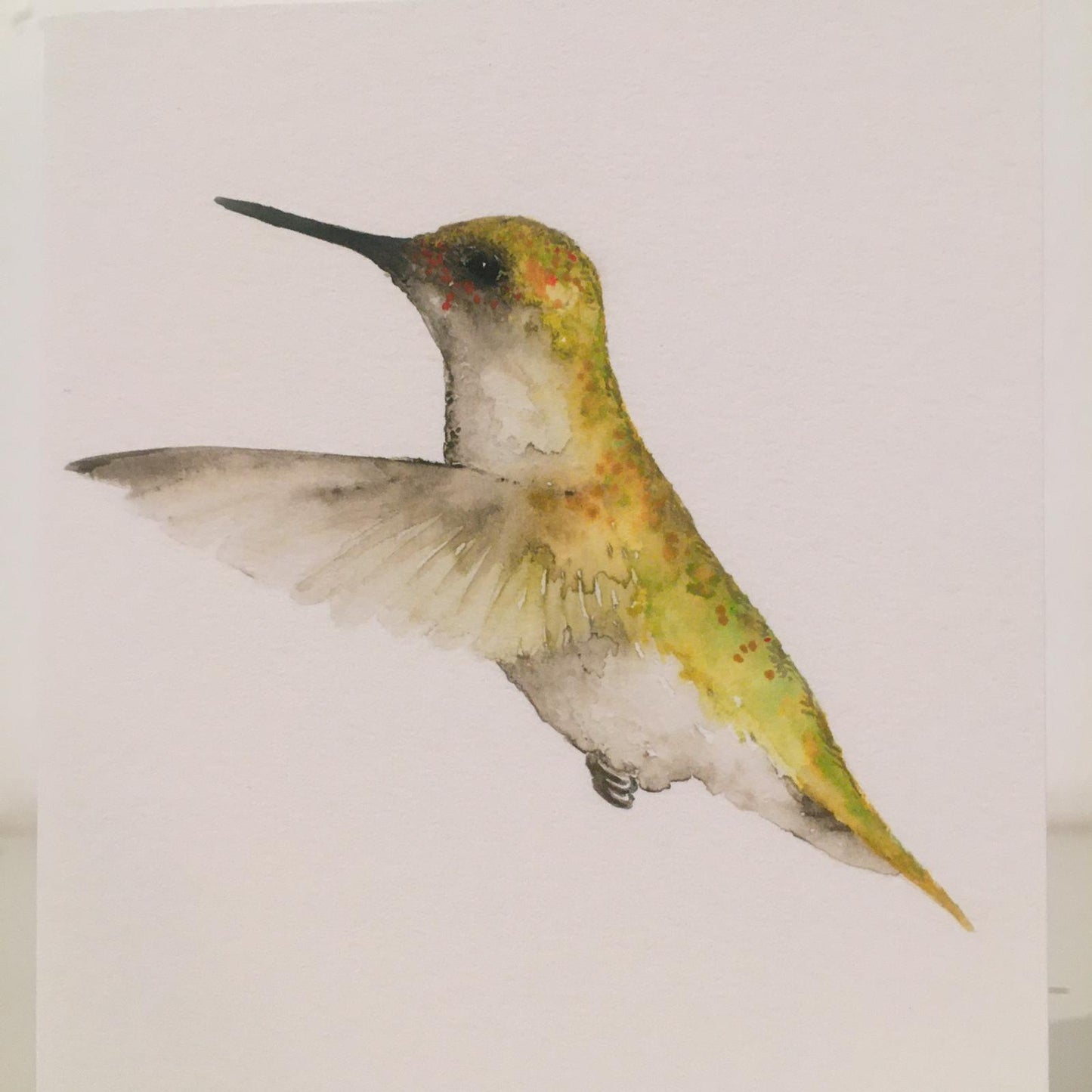 Fliegender Kolibri Aquarell Grußkarte II // Catherina Türk