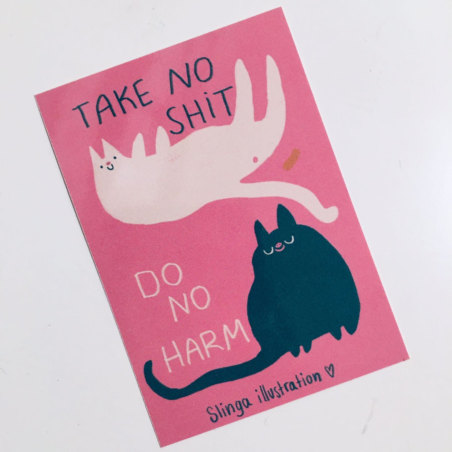 Sticker Slinga // TAKE NO SHIT DO NO HARM