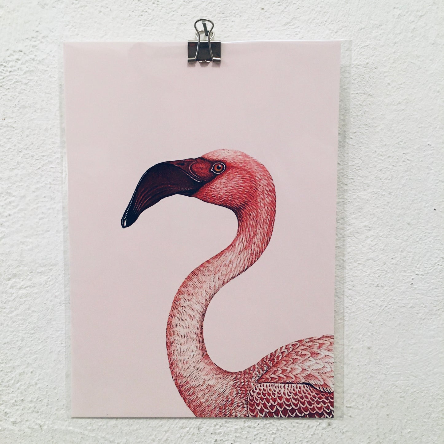 Mini Poster // Flamingo