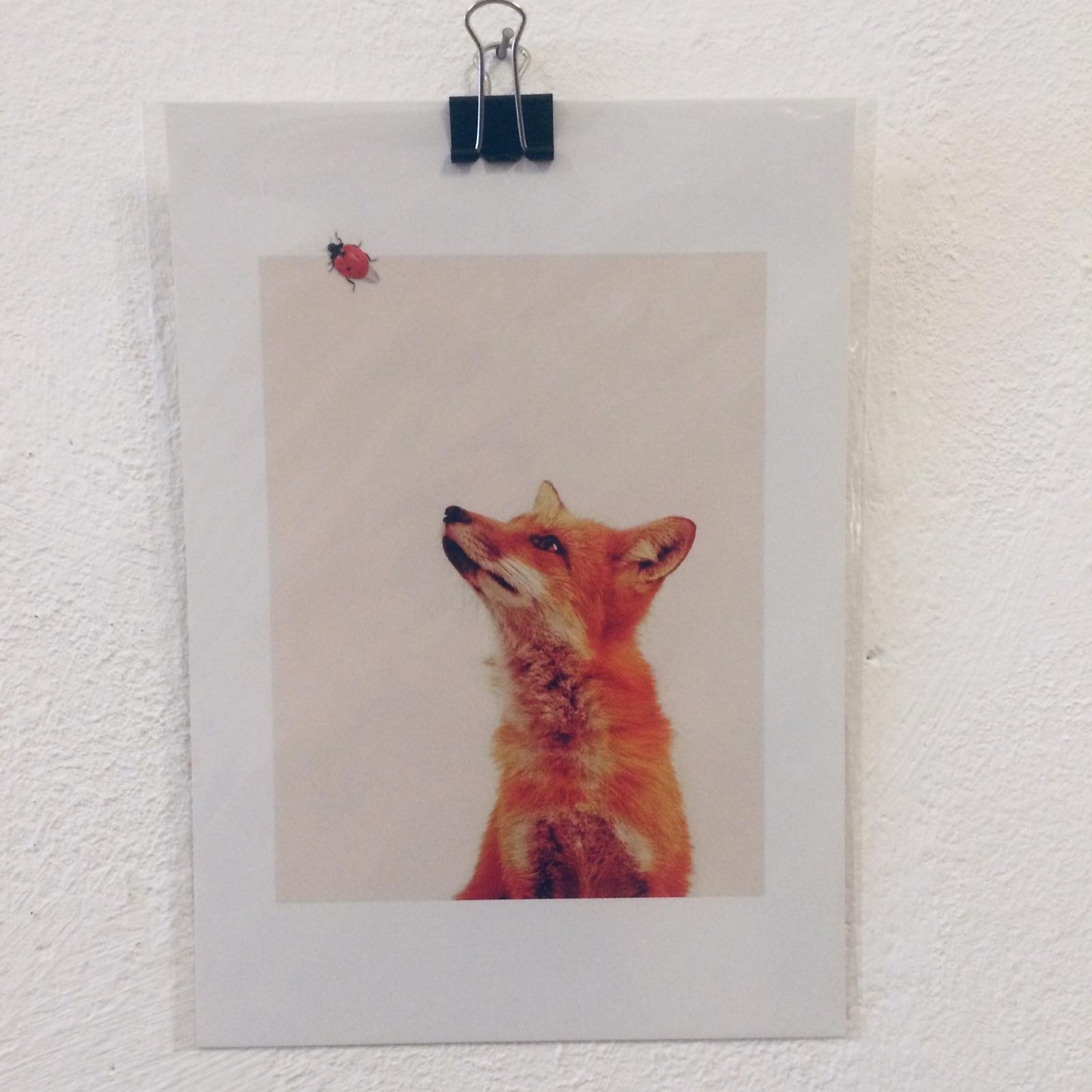 Mini Poster // Fox & Ladybug